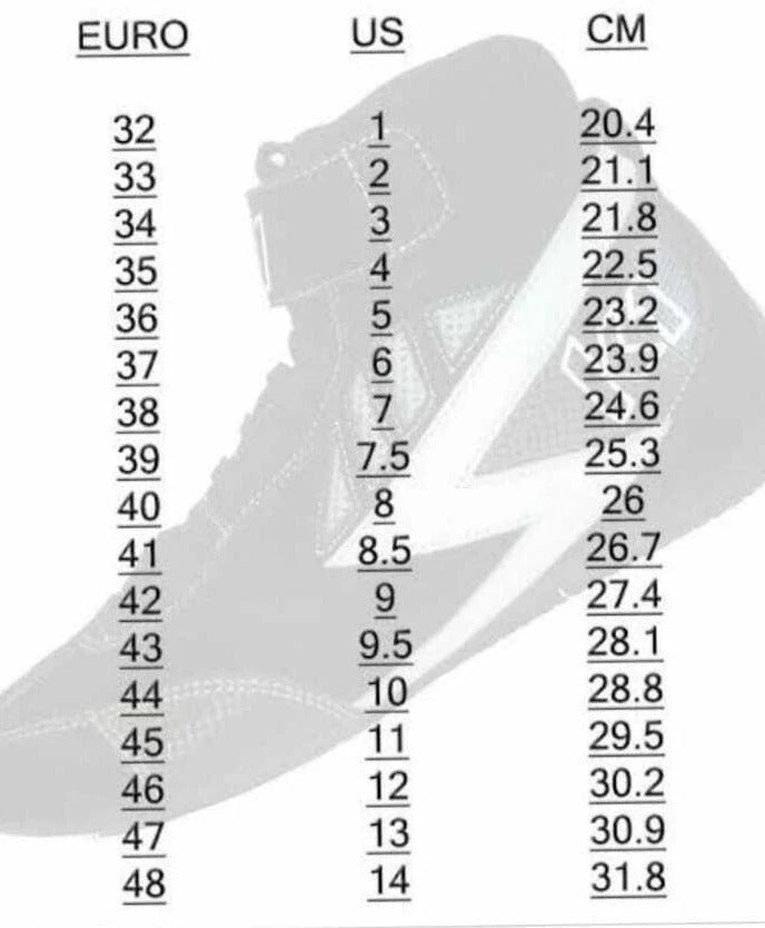 Lance Stroll 2017 F1 Racing shoes Speedline Racewear