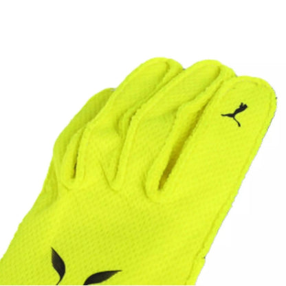 Lewis Hamilton Mercedes-AMG Petronas F1 Rennhandschuhe 2023