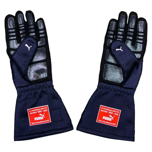 Red Bull Racing Pierre Gasly gloves 2019 close-up